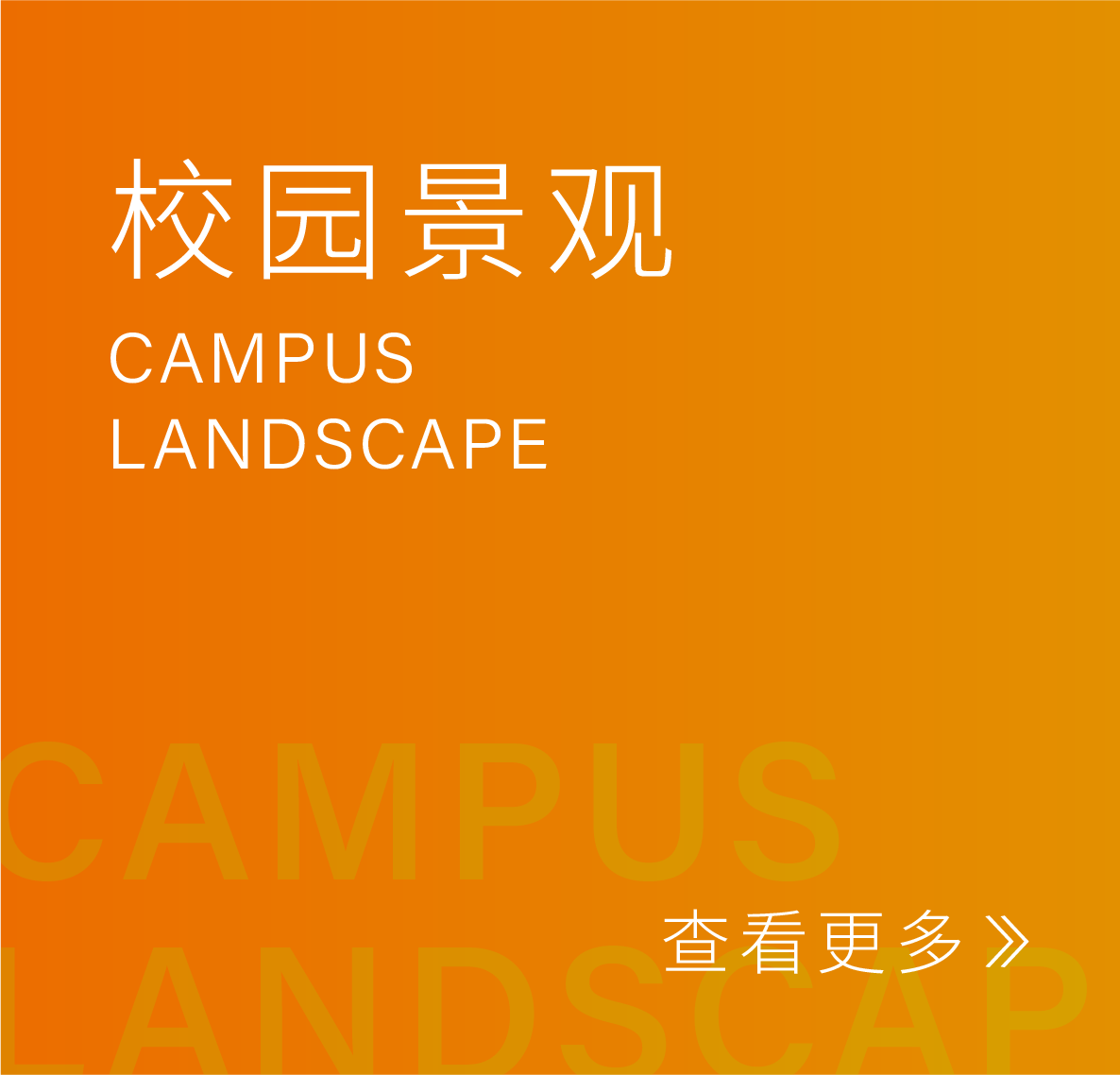 校园景观