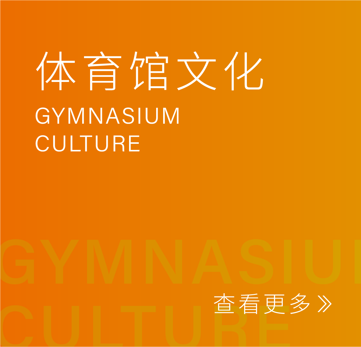 体育馆文化